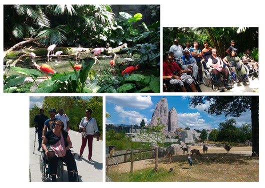 Visite du zoo de Vincennes 