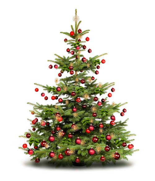 Sapin de Noël