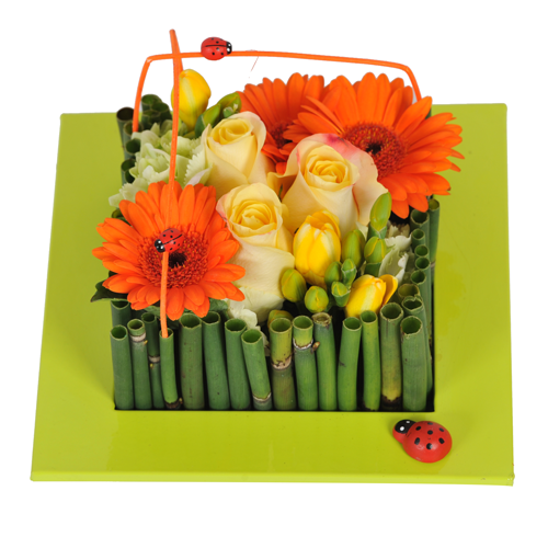 Composition Entrefleuristes.com