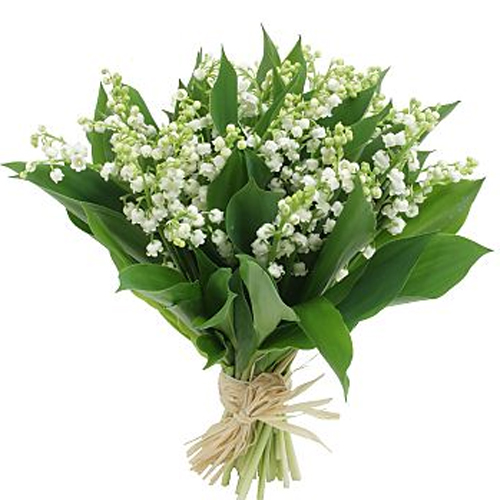 Bouquet de muguet