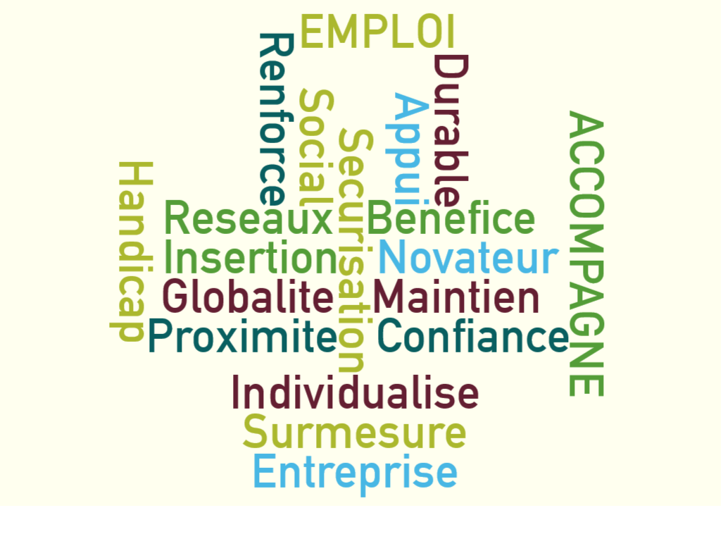 Emploi accompagné