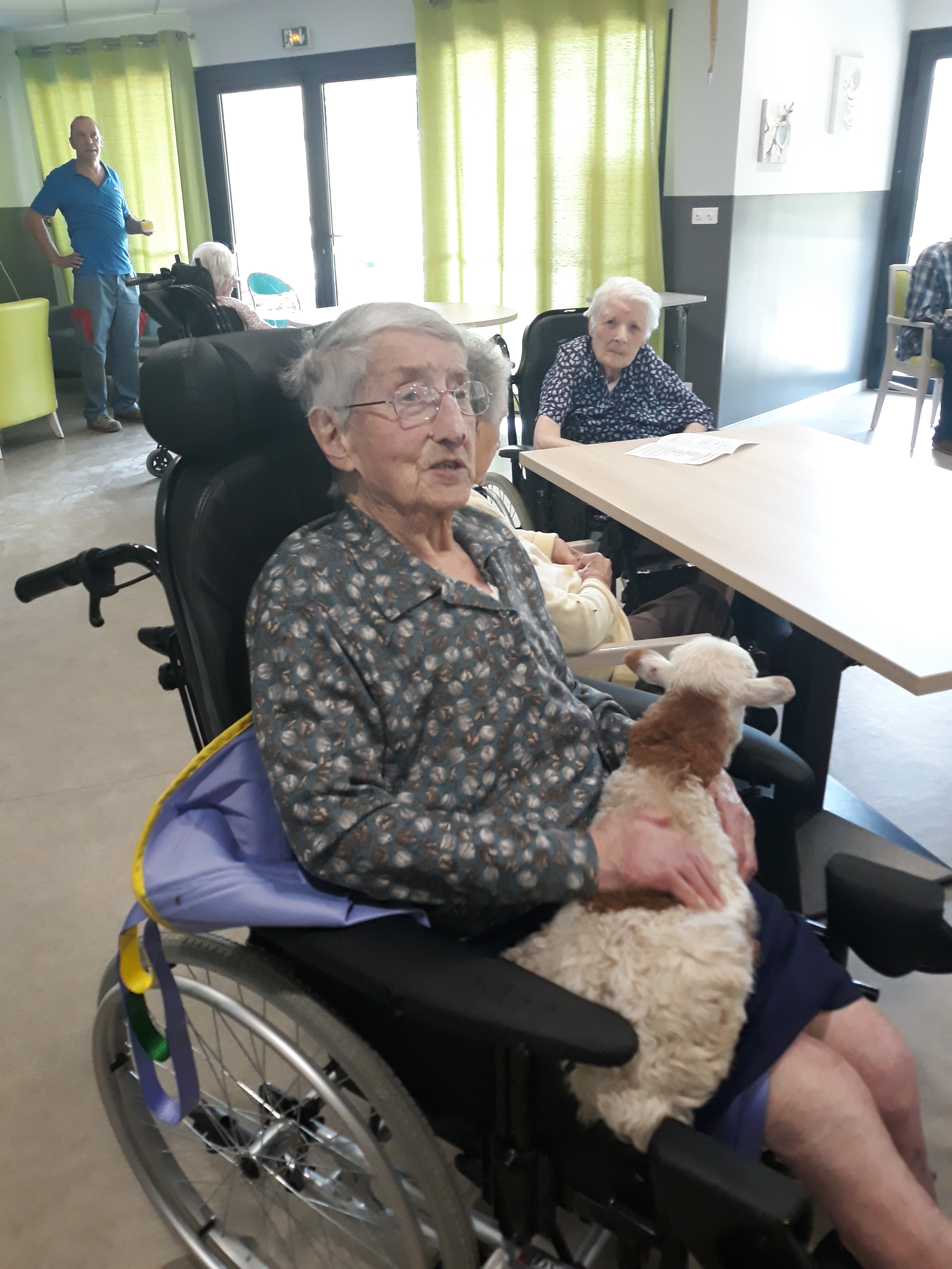 visite des animaux