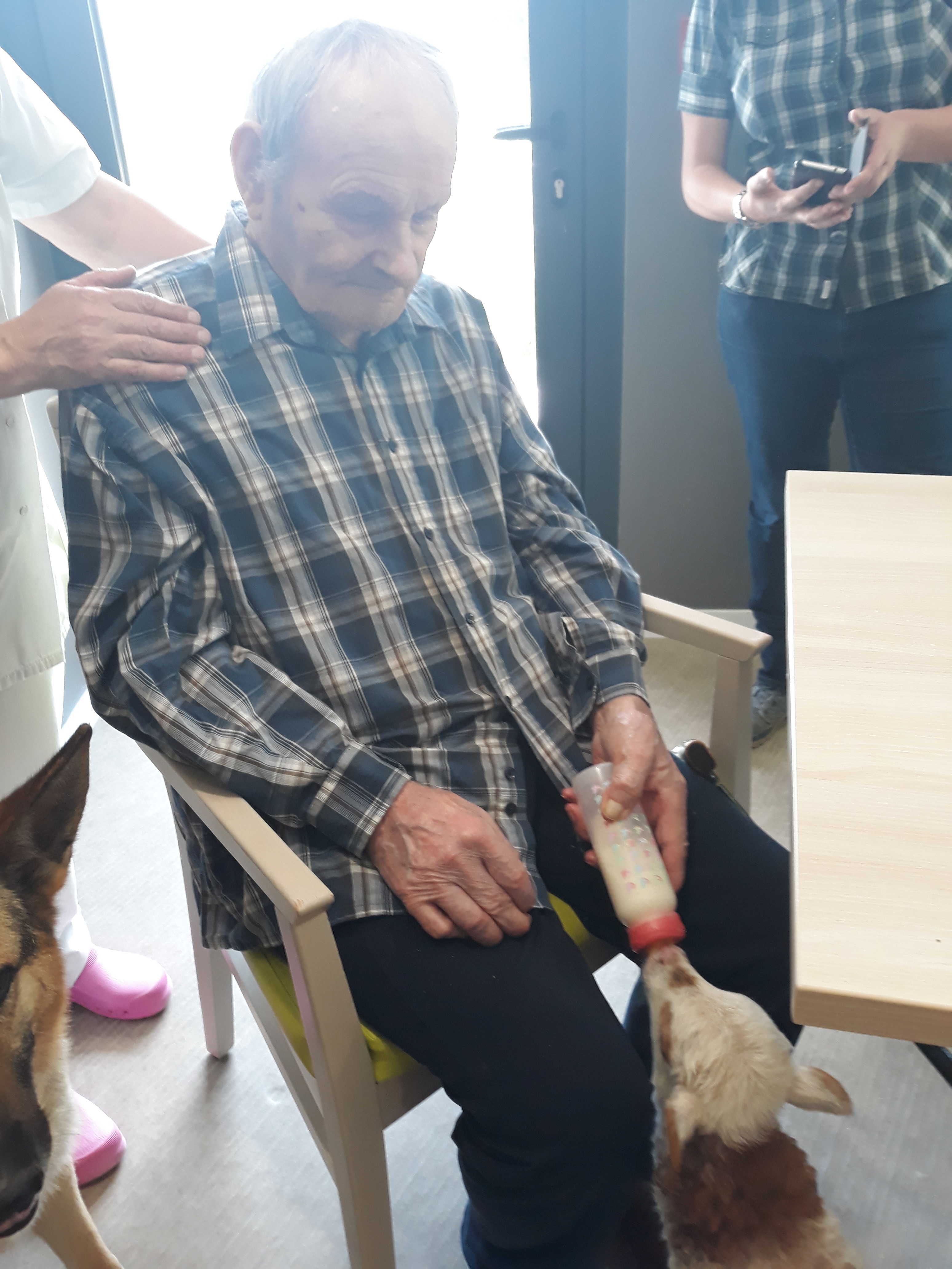 visite des animaux