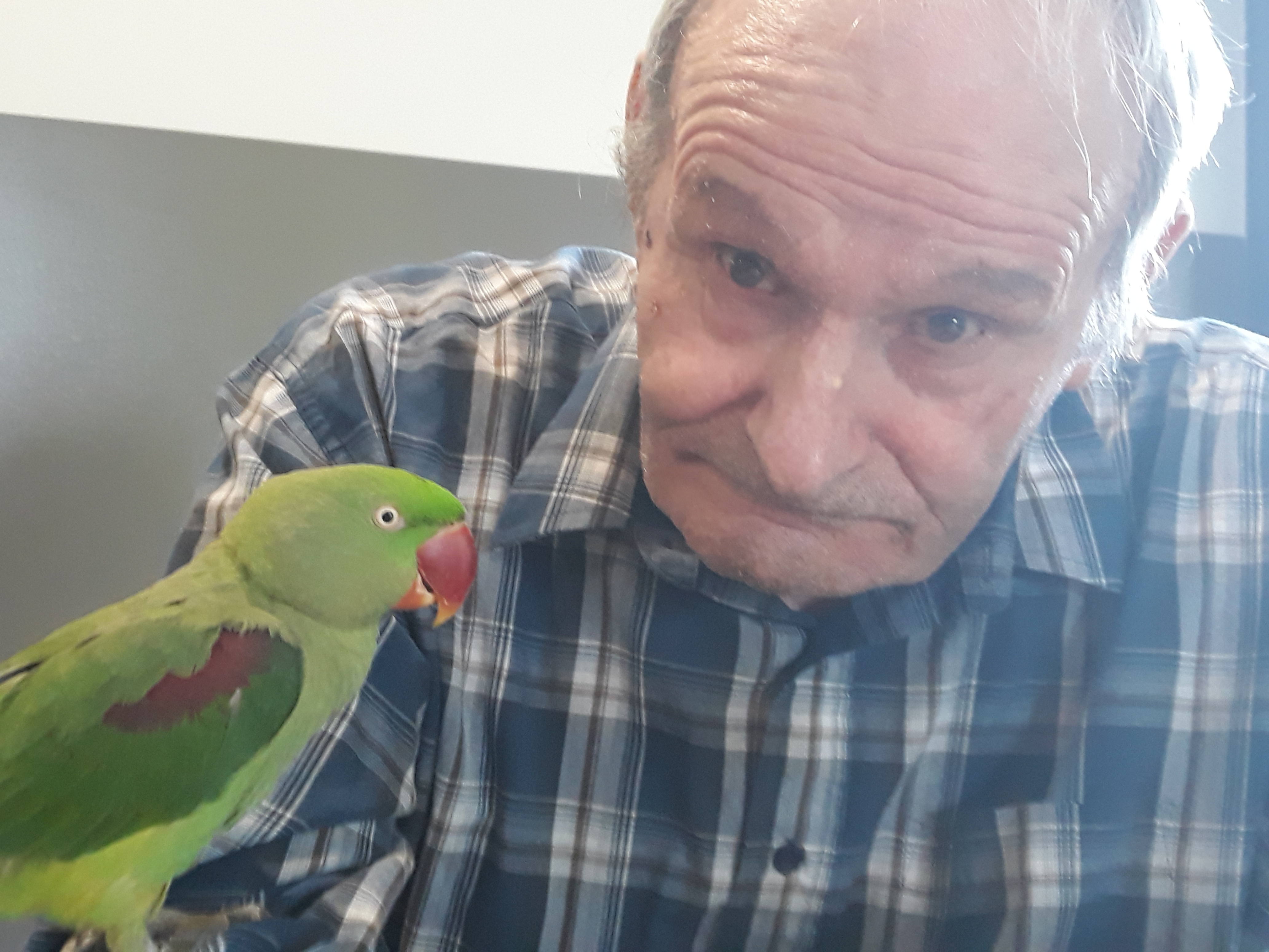 visite des animaux