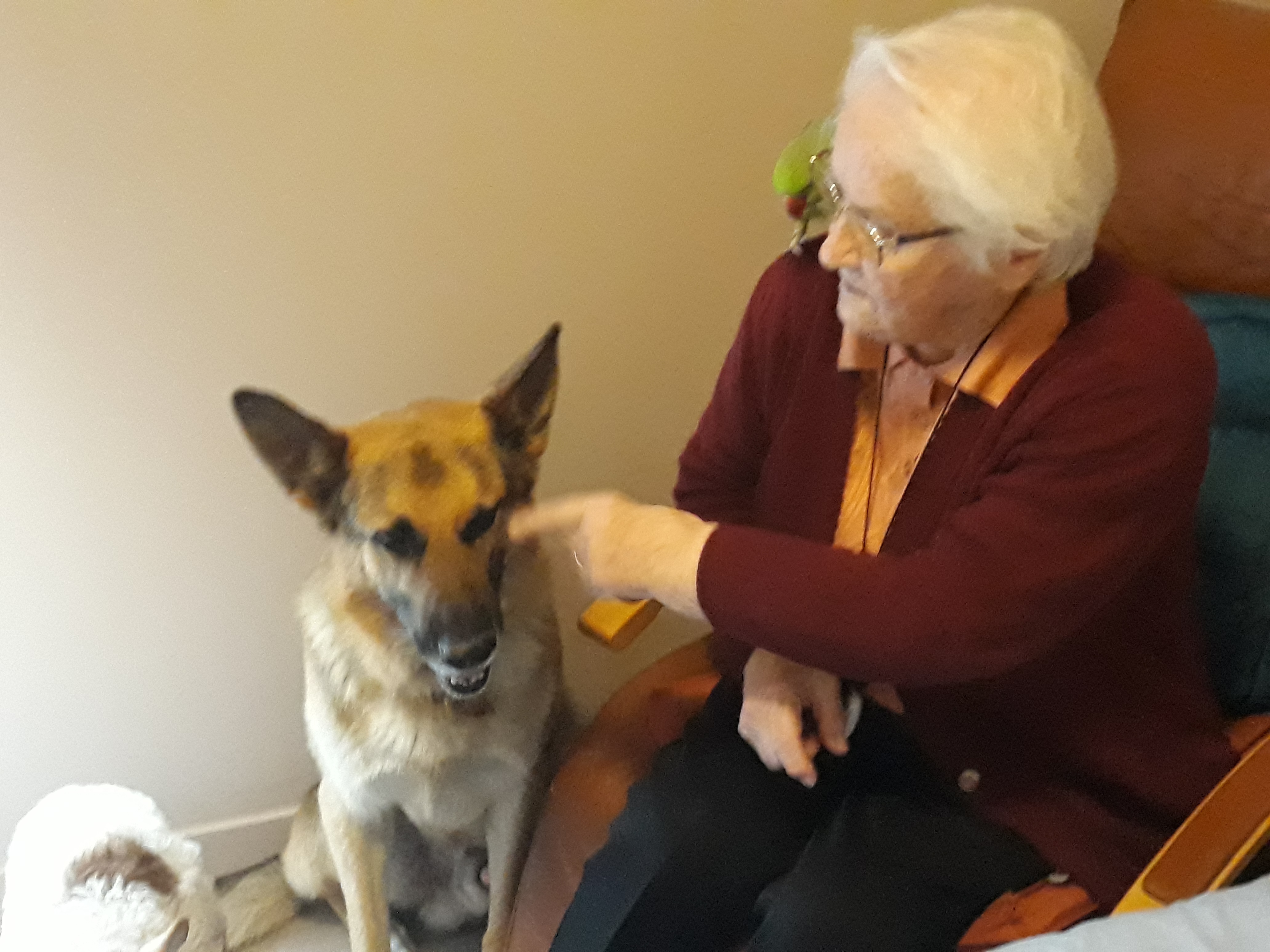 visite des animaux