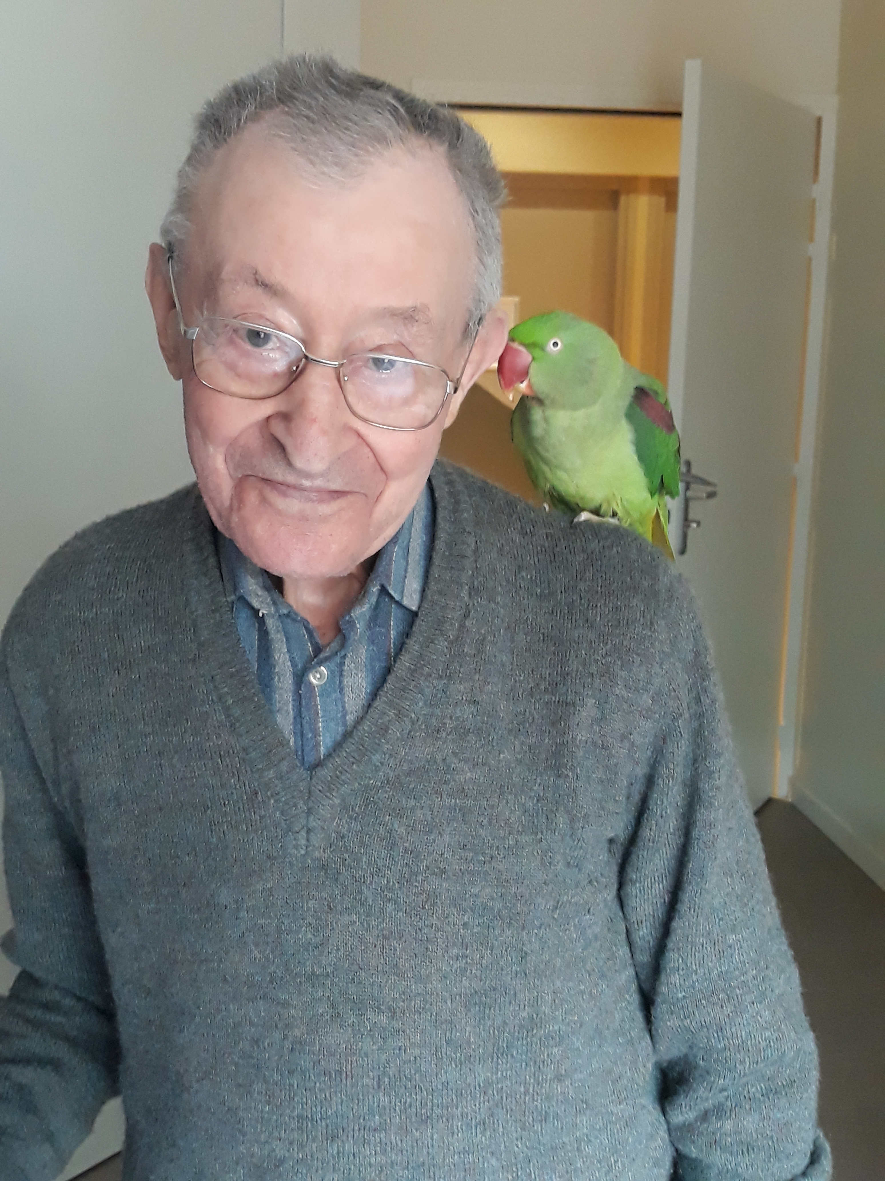 visite des animaux