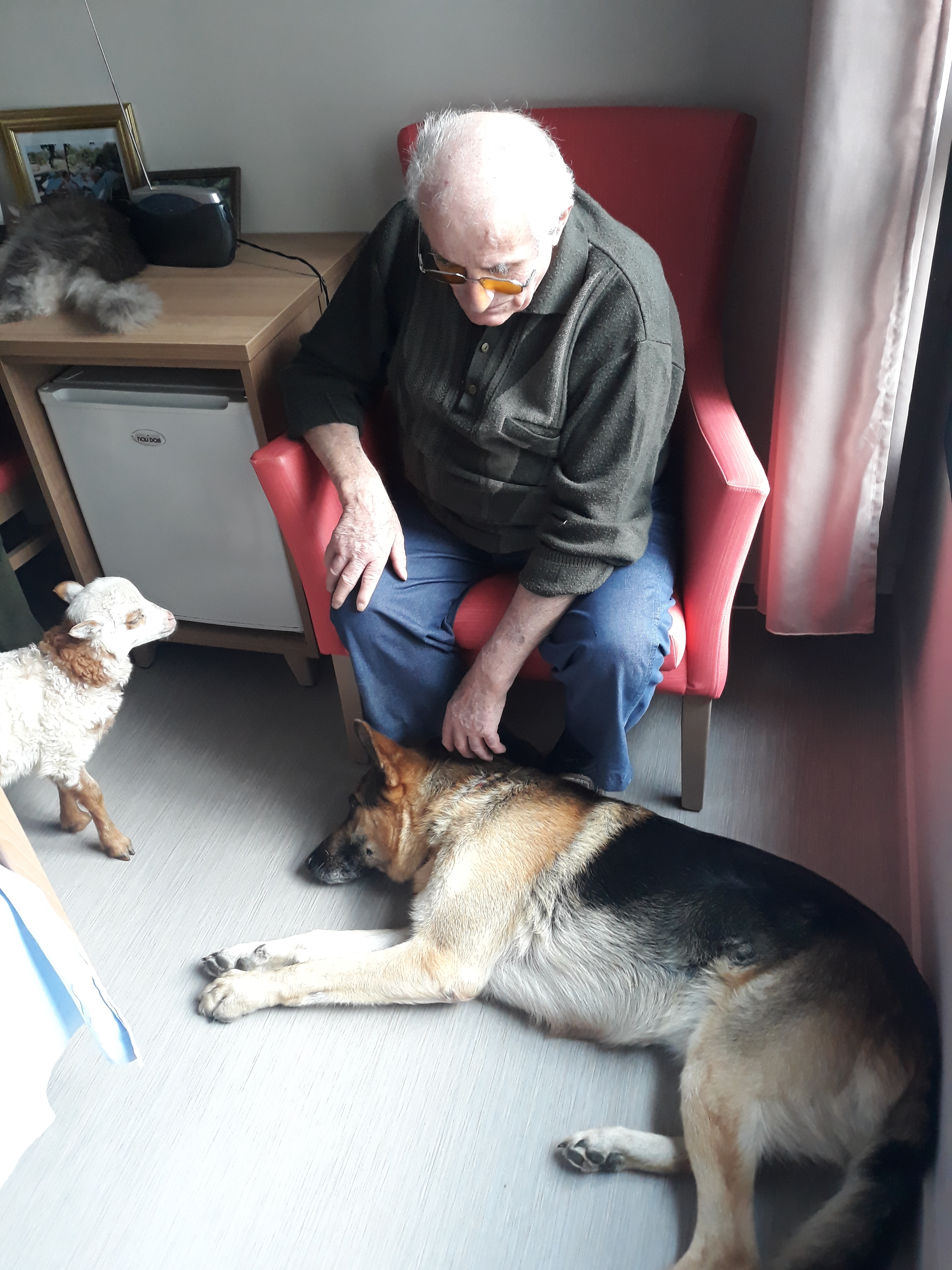visite des animaux