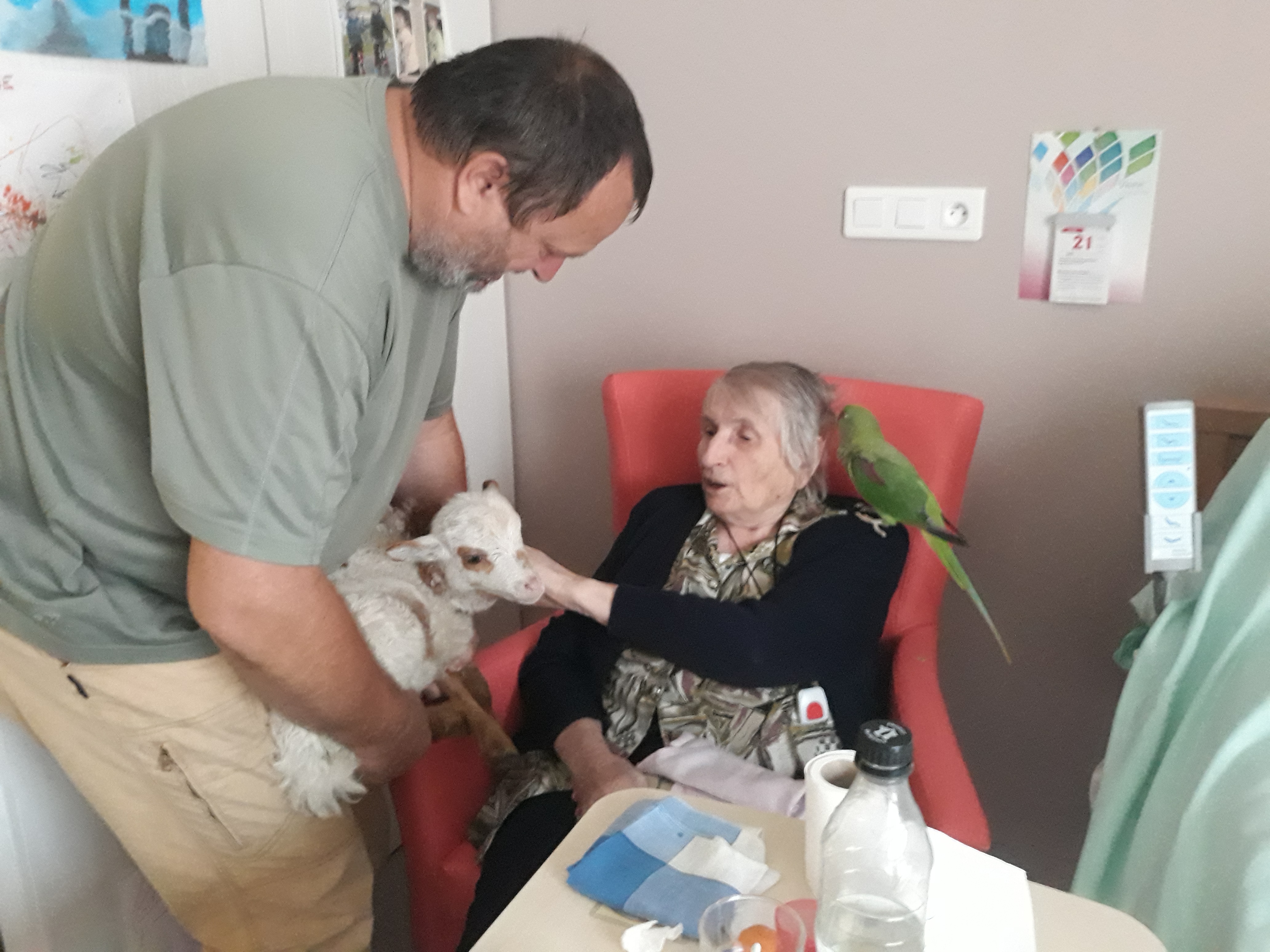 visite des animaux