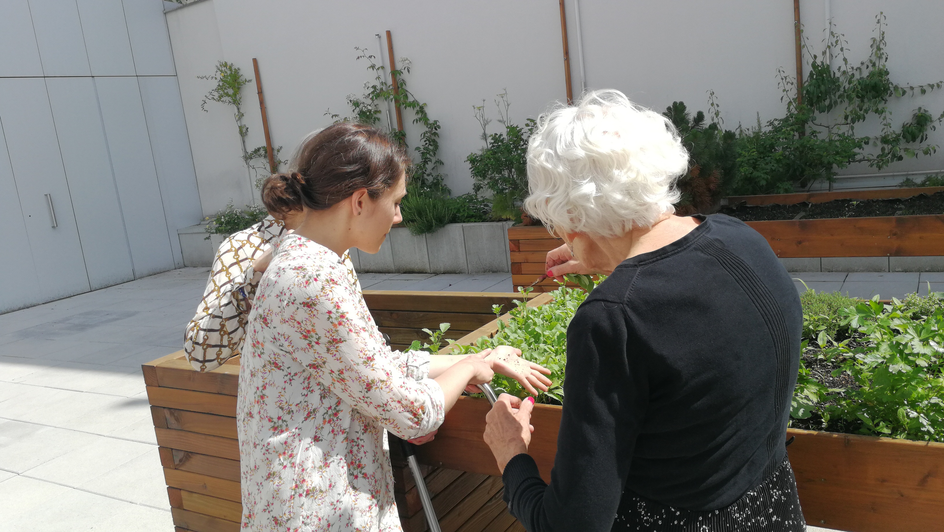 Les jardins du COS