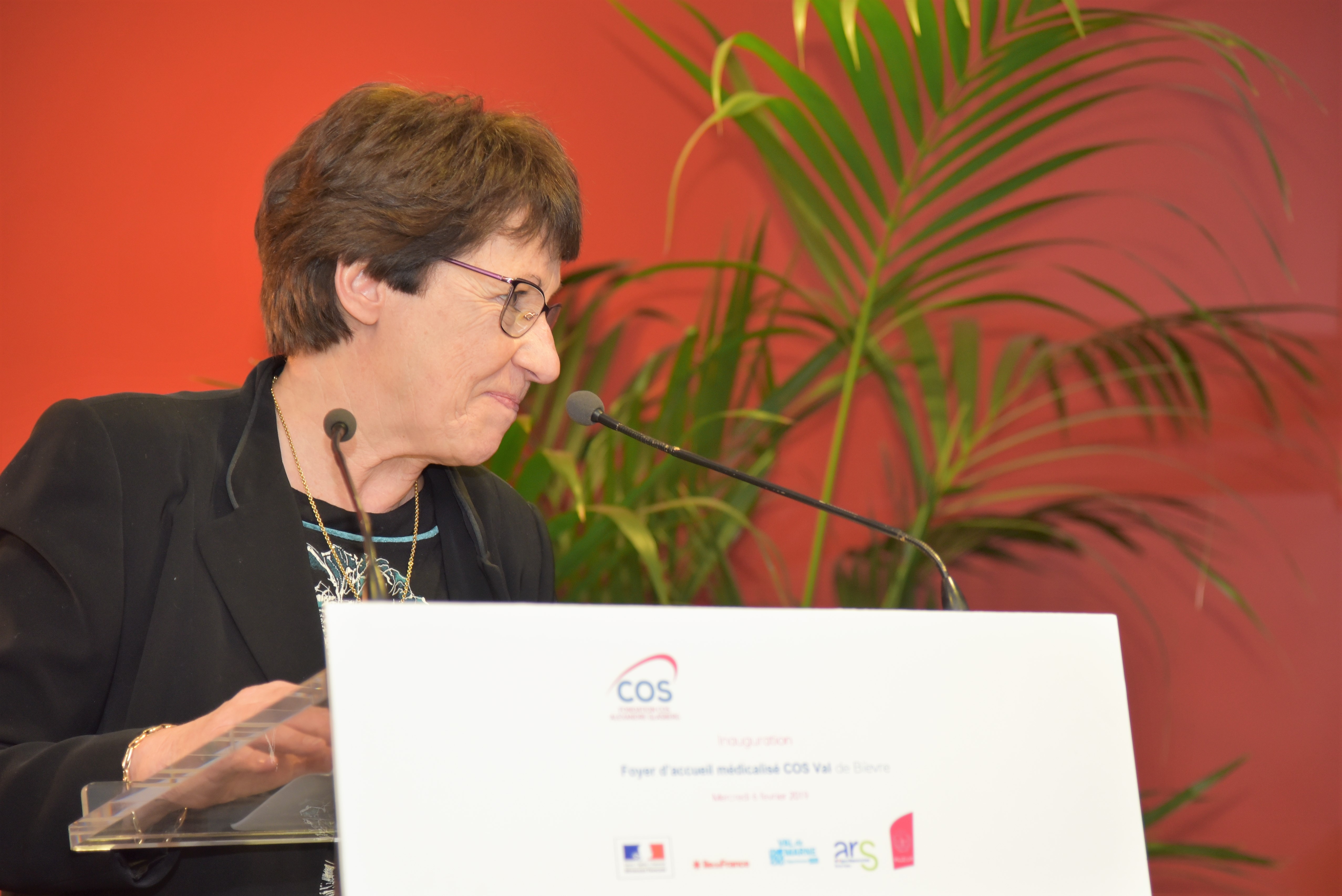 Mme Brigitte JEANVOINE, Vice-présidente du Conseil départemental du Val-de-Marne