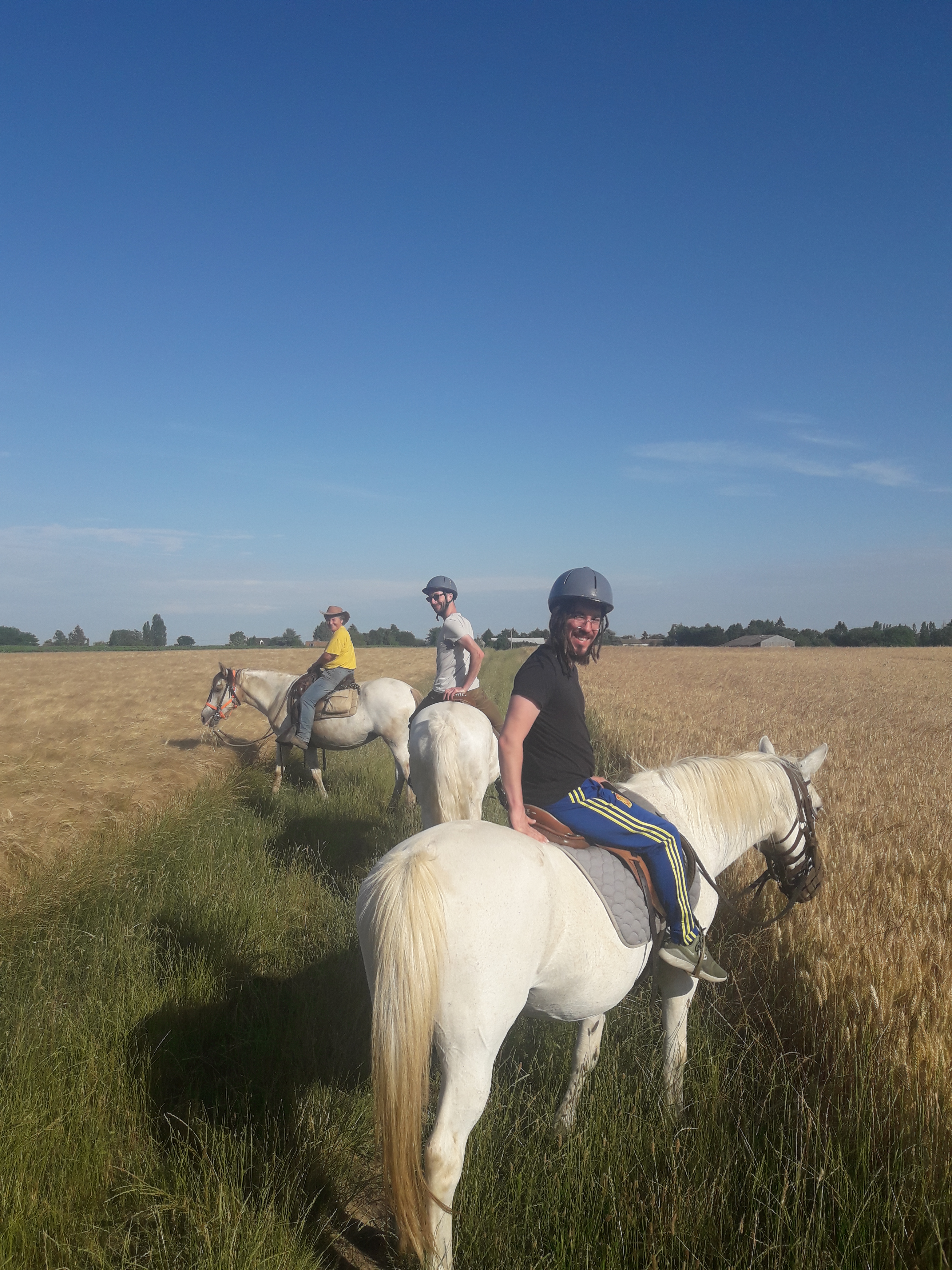 Découverte cheval 1