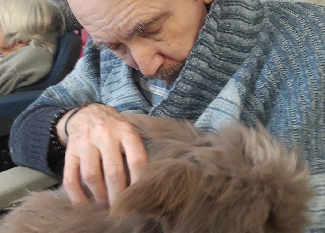 médiation animale au Garlaban