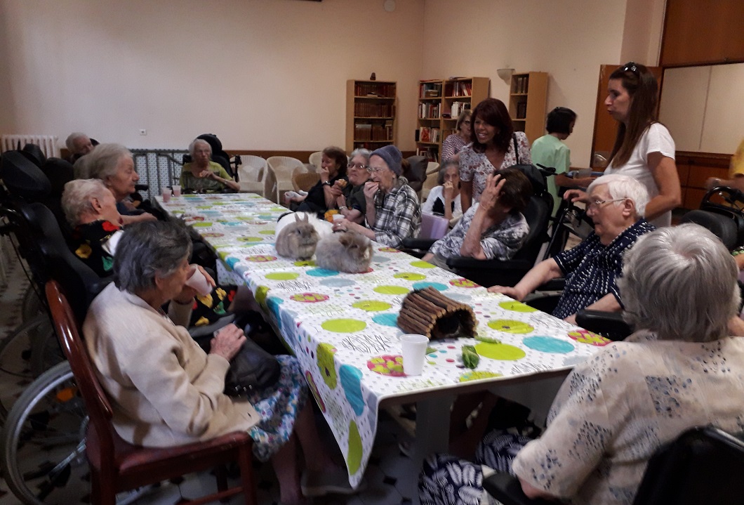 Atelier de médiation animale