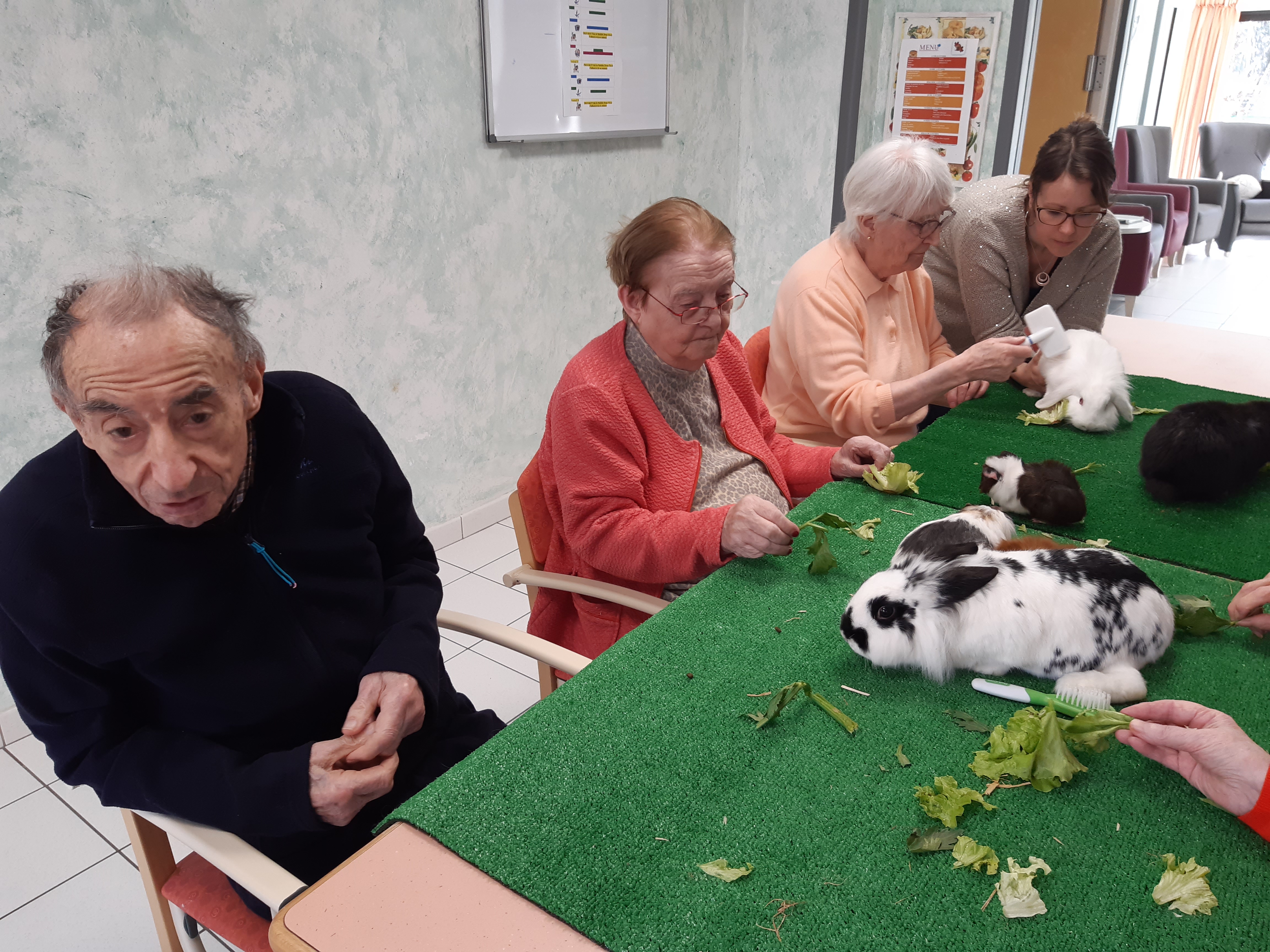 Ce sont les animaux qui viennent à nous !