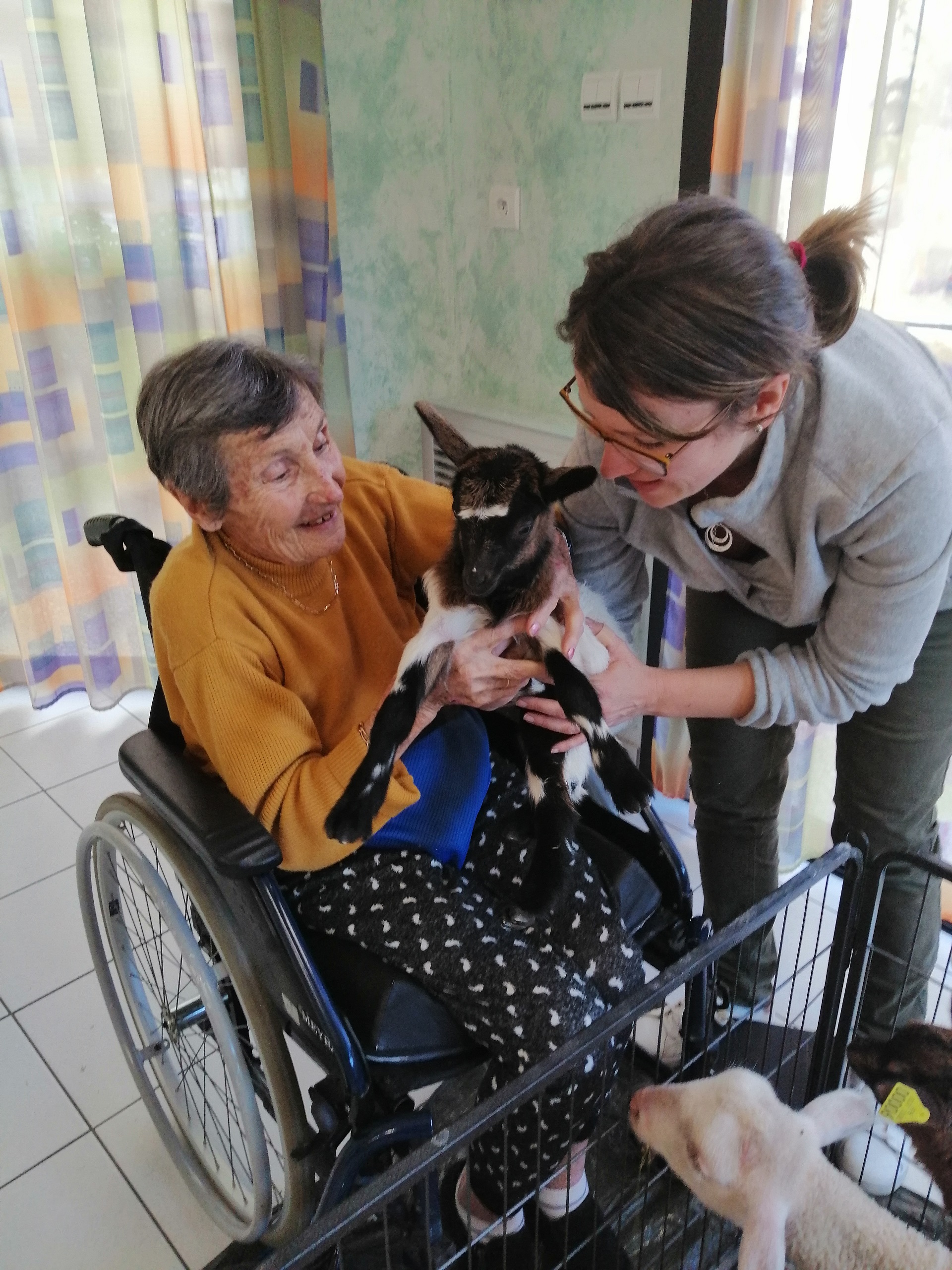 Ce sont les animaux qui viennent à nous !