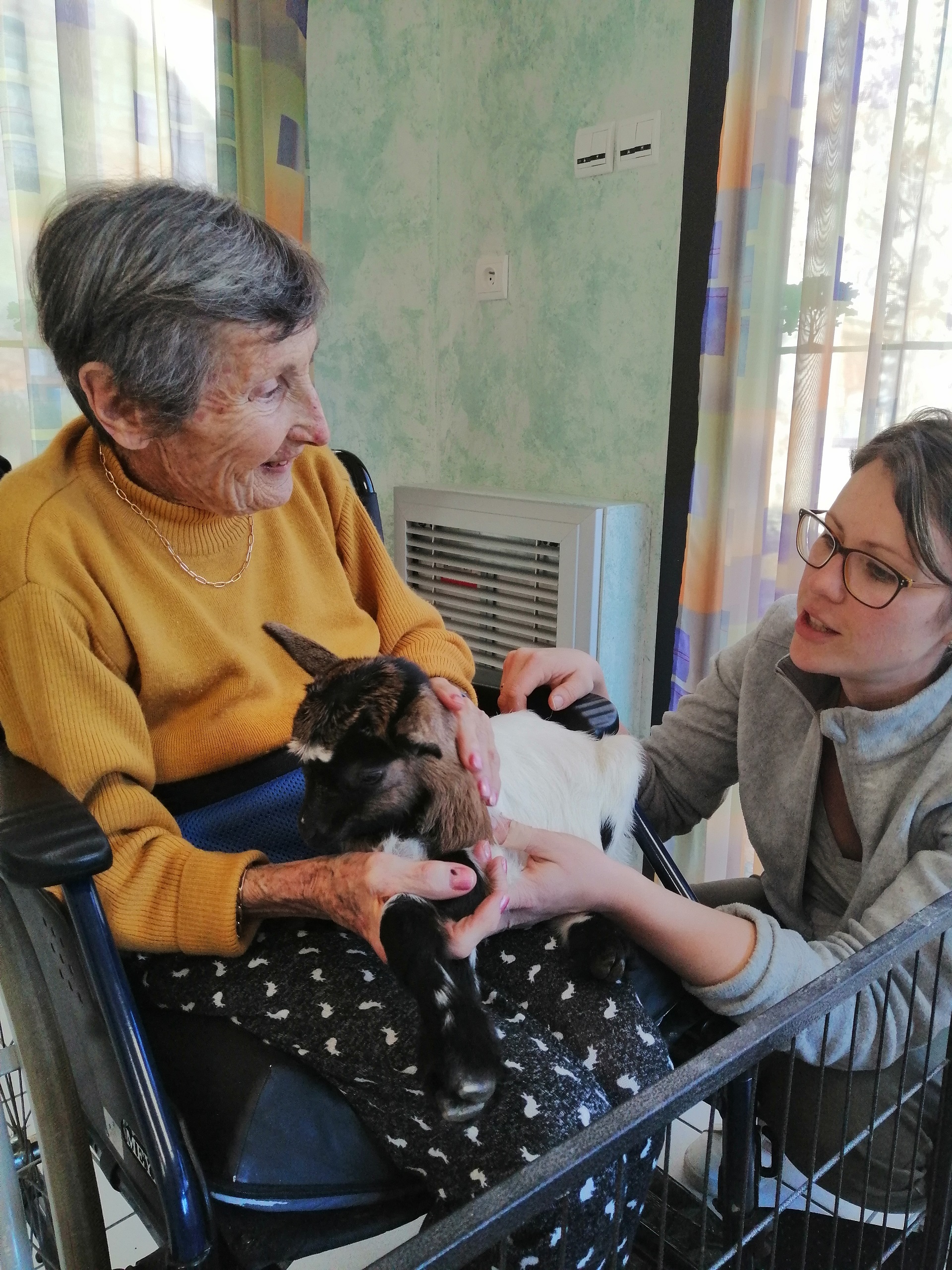 Ce sont les animaux qui viennent à nous !