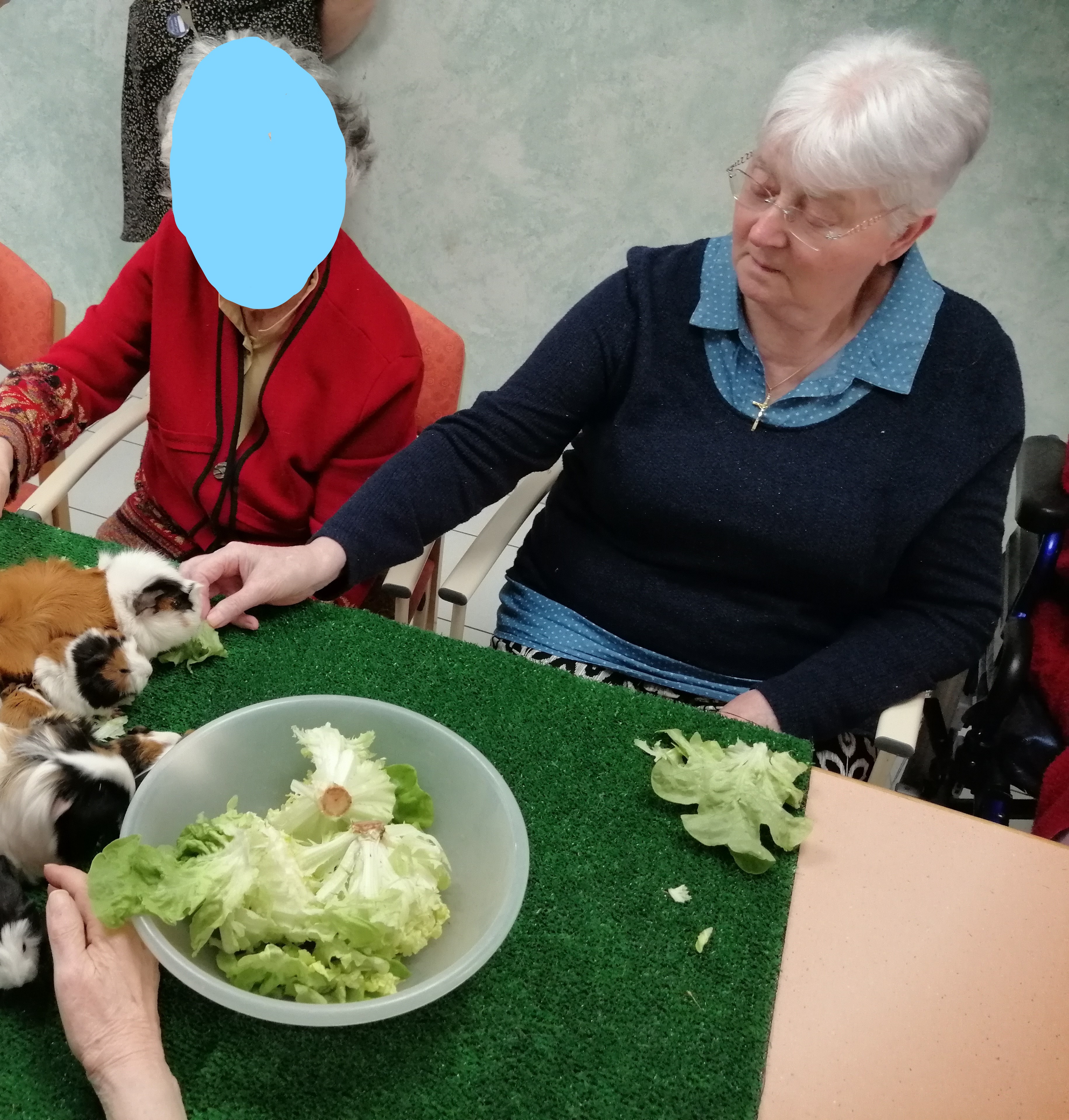 Ce sont les animaux qui viennent à nous !