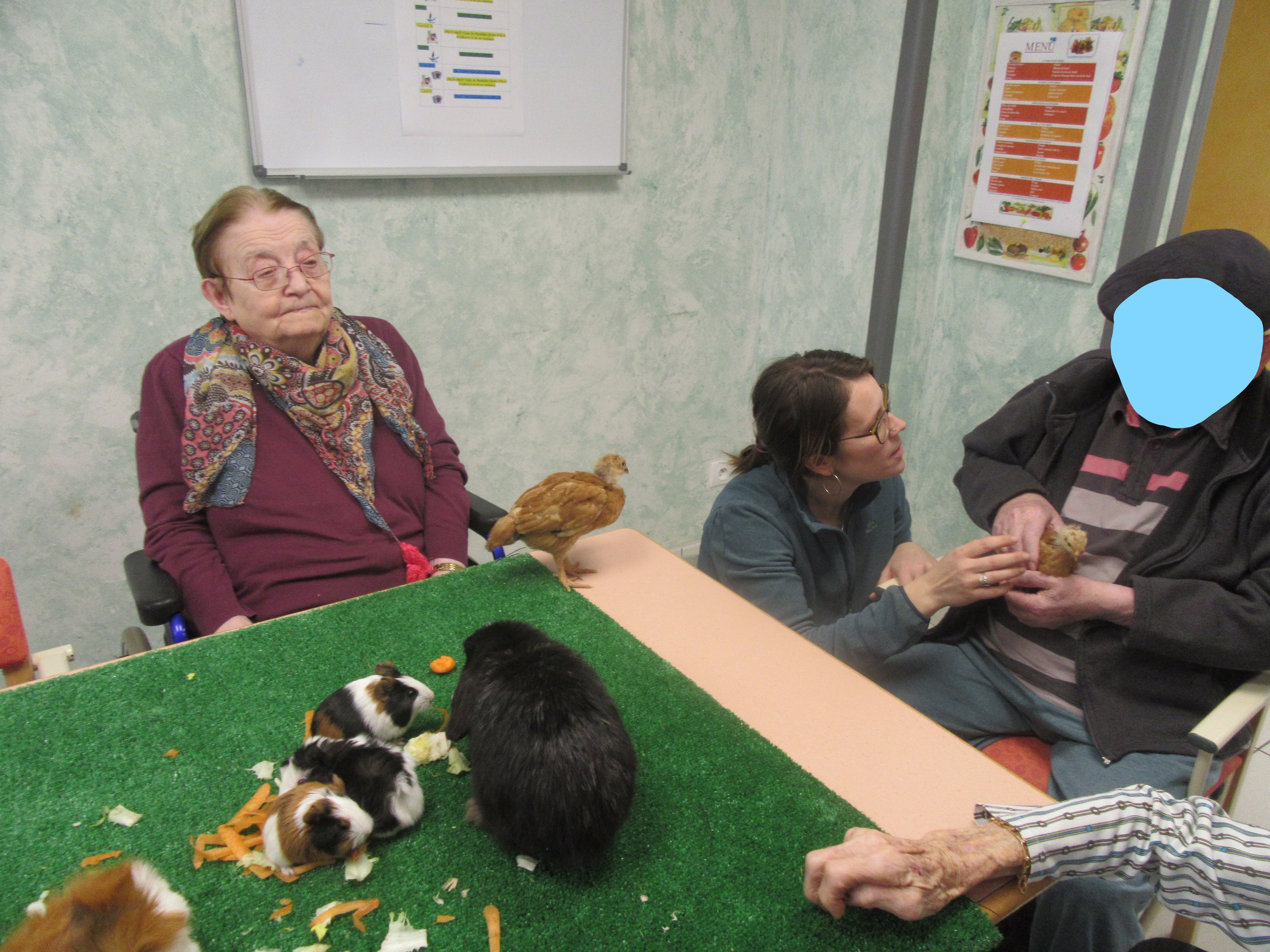 Ce sont les animaux qui viennent à nous !