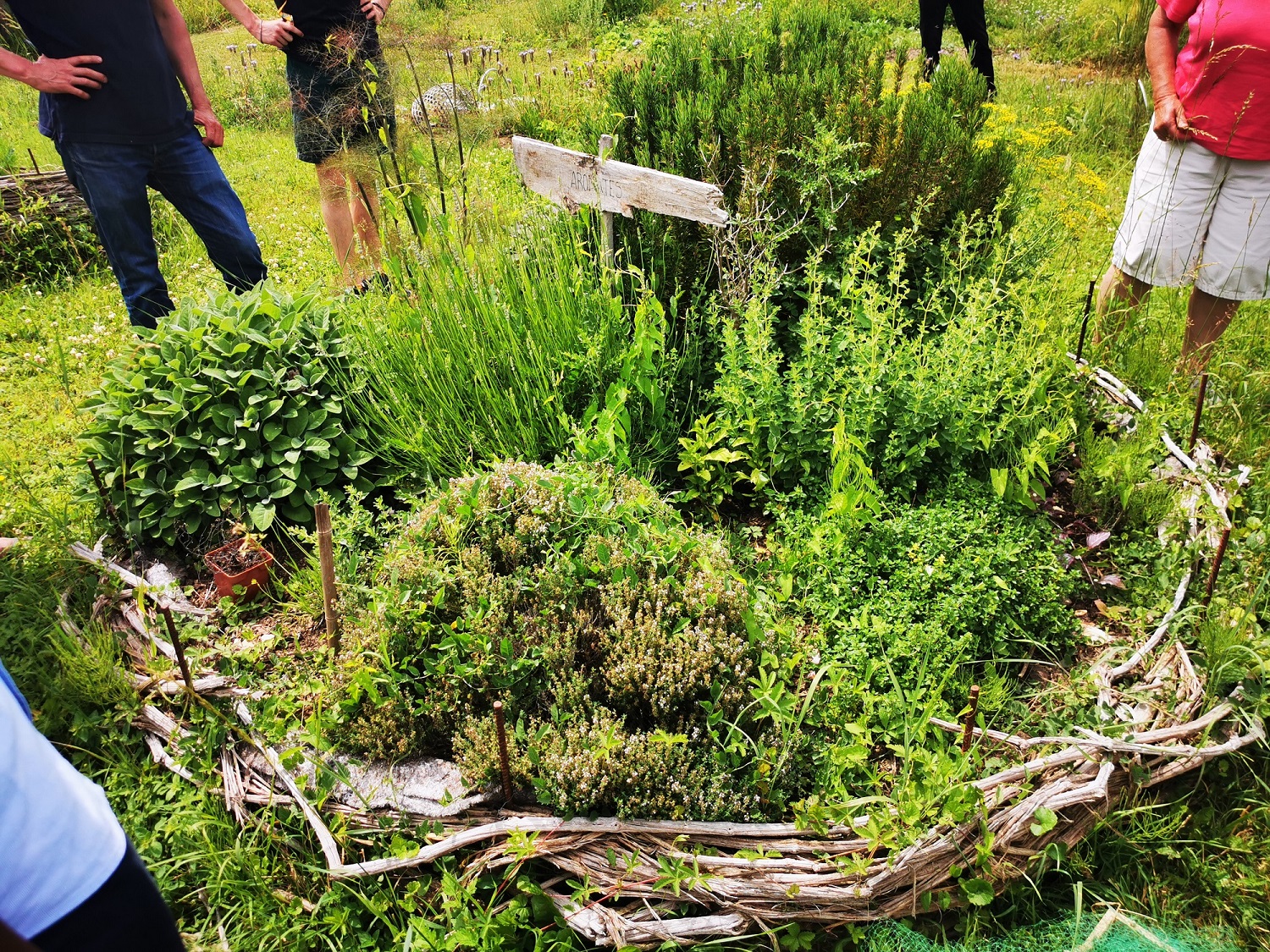 Permaculture "