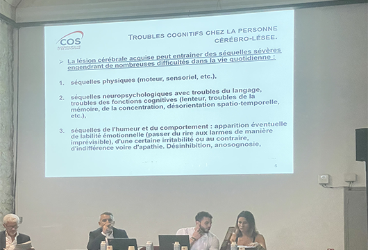 Intervention de Mounir Alaoui, directeur de l'EAM COS Val de Bièvre et de son équipe sur la mise en place du Makaton dans leur établissement pour mieux comprendre et mieux se faire comprendre