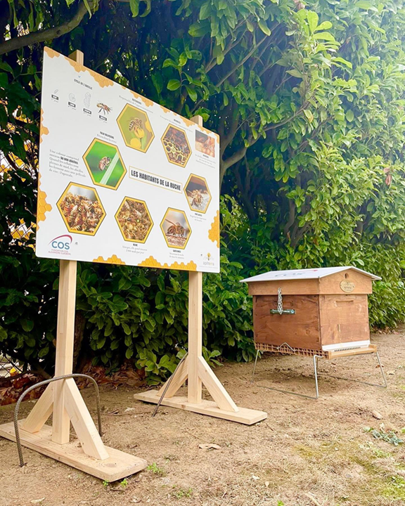 Un descriptif et une ruche témoin pour les résidents et les visiteurs
