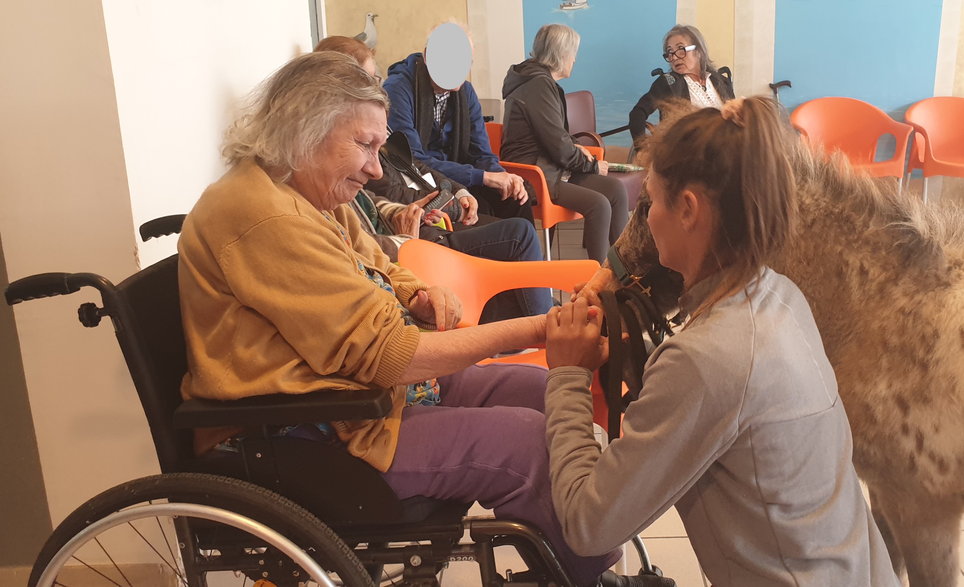 Equithérapie : une après-midi avec Roucky