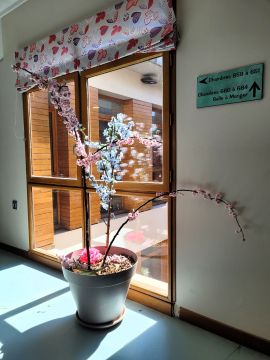 Au Garlaban, c’est toujours le printemps