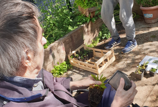 Atelier de jardinage - Ehpad COS Alice Guy