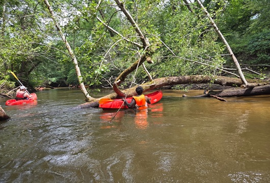 Sortie Kayak