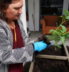 Activité potager